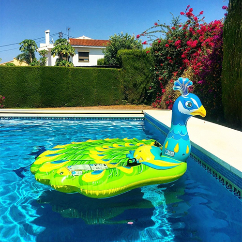 خرید شناور بادی روی آب طرح طاووس مدل intex 57250 | اینتکس ایران