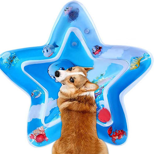 خرید واترمت کودک ستاره طرح دلفین ارزان