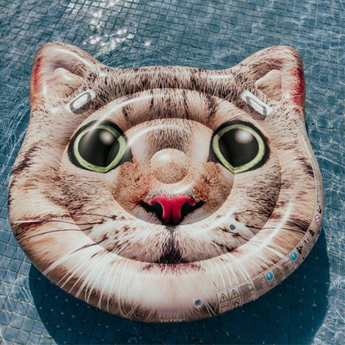خرید تشک بادی روی آب طرح گربه مدل intex 58784 | اینتکس ایران