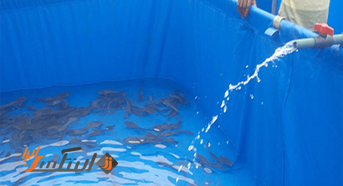 استخر پیش ساخته پرورش قزل آلا