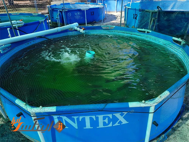 مراحل ساخت استخر پیش ساخته پرورش ماهی