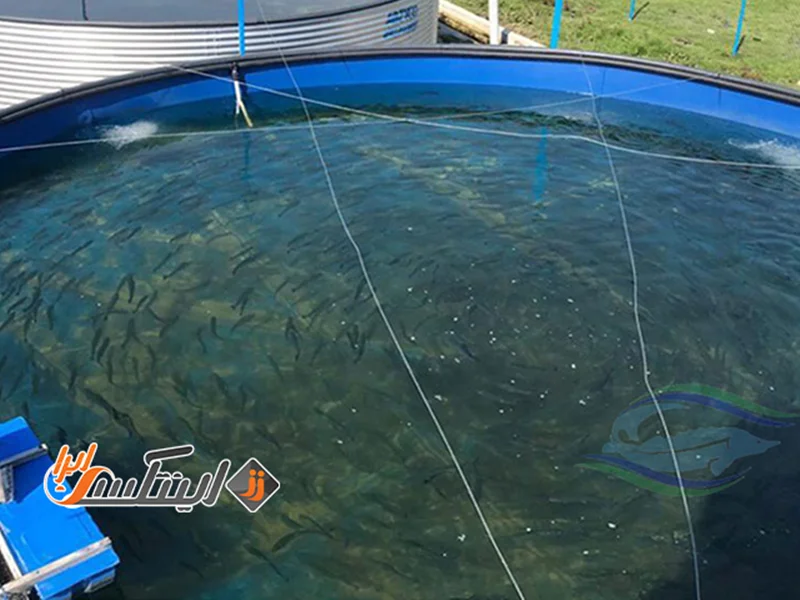 استخر پرورش ماهی پیش ساخته دست دوم