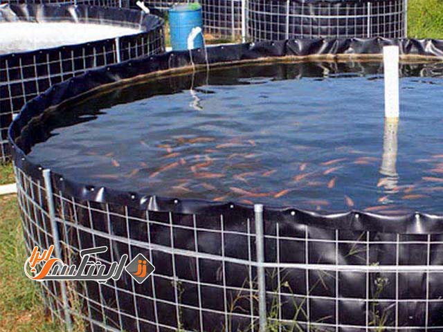 معرفی 5 نمونه استخر پیش ساخته پرورش ماهی
