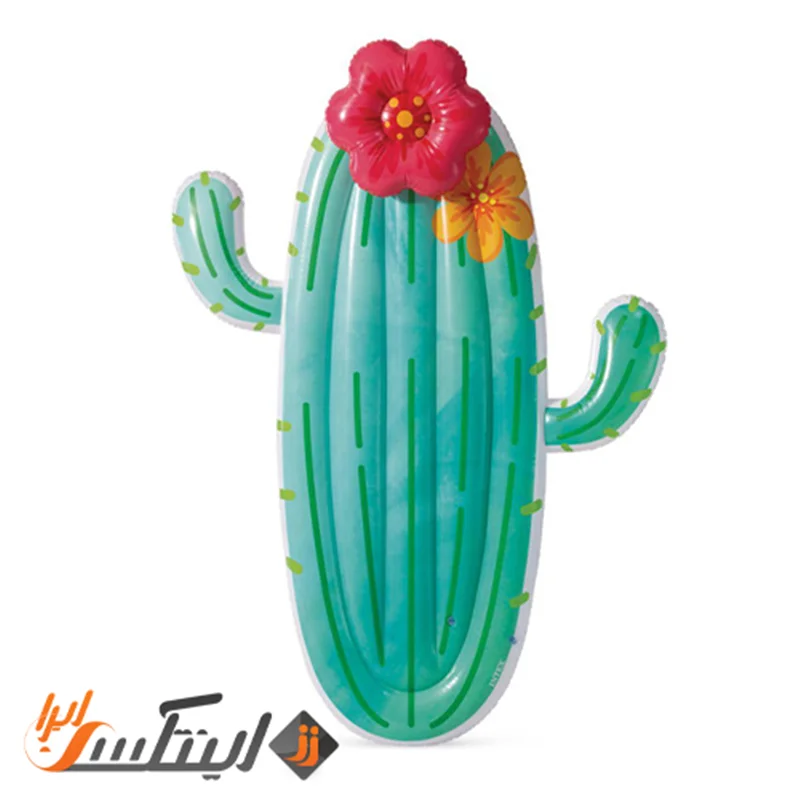 تشک بادی روی آب طرح کاکتوس گلدار